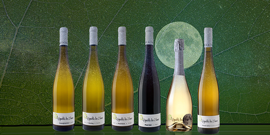 Hemelse, biodynamische pracht uit de Elzas